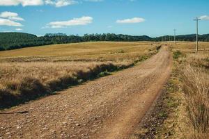 estrada de terra deserta que passa por planícies rurais chamadas pampas com arbustos secos e postes de luz perto de cambara do sul. uma pequena cidade do sul do brasil com incríveis atrativos turísticos naturais. foto