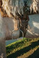 detalhe de sela típica de cavalo feita de lã de ovelha e estribo de aço ao pôr do sol, em fazenda perto de cambara do sul. uma pequena cidade rural no sul do brasil com incríveis atrativos turísticos naturais. foto
