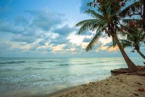 belo nascer do sol de manhã cedo sobre coqueiro com o mar, o horizonte na praia de chapéu chao lao em chanthaburi Tailândia.