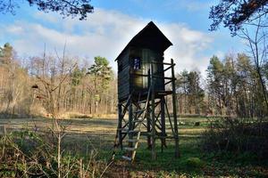 cabana de madeira escondida para caça no prado da floresta foto