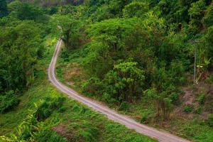 estradas rurais ao lado com floresta verde na colina. foto