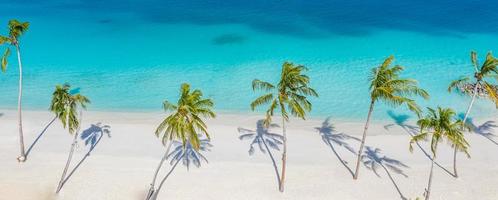 paisagem aérea da praia. vista minimalista da praia de drone ou avião, sombras de palmeiras na areia branca perto do mar azul com belas ondas e ondulações. banner de paisagem de praia de verão perfeito. mar azul exótico foto