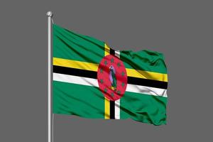 Dominica acenando bandeira foto