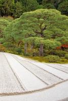 pedra para meditação em jardim zen japonês em linhas de areia para relaxamento, equilíbrio e harmonia espiritualidade ou bem-estar em kyoto, japão