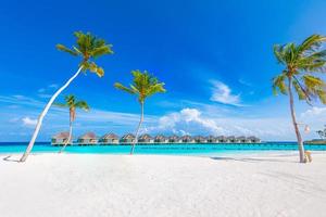 panorama incrível em maldivas. luxo resort vilas vista do mar com palmeiras, areia branca e céu azul. bela paisagem de verão. fundo de praia incrível para férias de férias. conceito de ilha paradisíaca