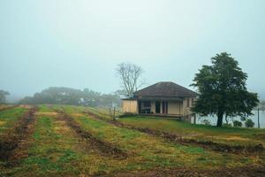 Bento Gonçalves, Brasil - 14 de julho de 2019. Paisagem rural com campos cultivados, casa de fazenda e lago em um dia de neblina perto de Bento Gonçalves. foto