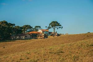 cambara do sul, brasil - 18 de julho de 2019. casas de madeira em uma fazenda no topo de uma colina coberta por pinheiros e arbustos secos perto de cambara do sul. foto