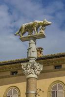 estátua do lobo capitolino em siena, itália foto