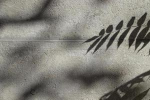 sombras de galhos de plantas em uma parede de concreto em um dia ensolarado. fundo criativo da natureza foto