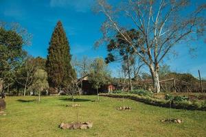 bento goncalves, brasil - 11 de julho de 2019. charmoso jardim com árvores e gramado verde, no quintal de uma propriedade rural perto de bento goncalves. foto