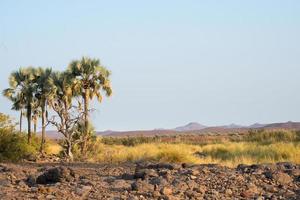 bela paisagem perto da damaraland. dia ensolarado, céu azul, copie o espaço. namibia foto