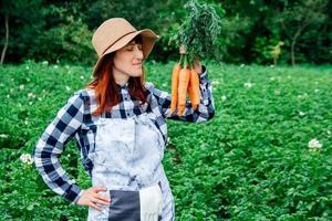 agricultora segura um monte de cenouras no fundo de uma horta foto