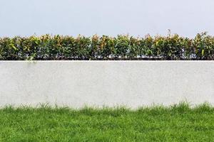 parede de pedra e flora com grama no design de decoração de jardim para edifício moderno foto