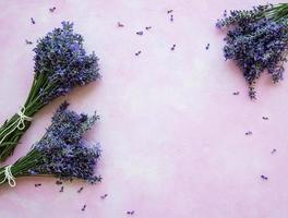 flores frescas de lavanda foto