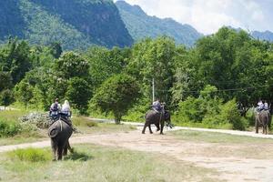 andando em um elefante. foto