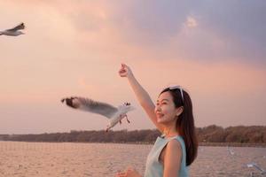 mão de mulher bonita alimentando a gaivota durante o pôr do sol. gaivota evacua o frio do hemisfério norte para bangpu, samutprakarn, tailândia, durante o inverno, de novembro a março. foto