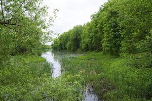 paisagem no rio e na floresta. foto