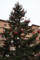 árvore de Natal decorada de pinho em Bolonha. Itália foto