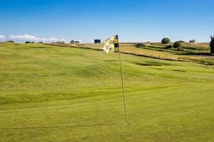 uma bandeira quadriculada em um campo de golfe, significando um buraco foto