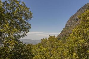 vista da cidade do cabo do parque nacional de Table Mountain, áfrica do sul. foto