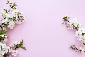 fundo de borda de primavera com lindos ramos de flores brancas. foto