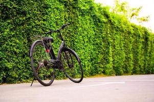 uma bicicleta com uma parede de árvore verde ao fundo. foto