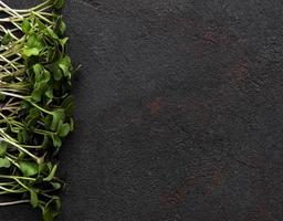 micro verdes em um fundo preto de concreto. alimentos orgânicos saudáveis e frescos, conceito de serviço de restaurante. vista de cima, copie o espaço foto
