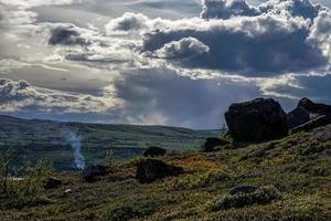 paisagem natural com árvores e vegetação na tundra. foto