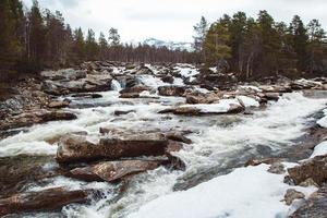 paisagem do rio de montanha fluindo entre rochas e floresta. lugar para texto ou publicidade