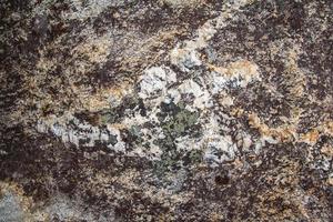 textura de pedra natural com musgo e mofo. lugar para texto ou publicidade foto