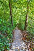 caminhada trilha natural na selva tropical floresta lamru nationalpark tailândia.