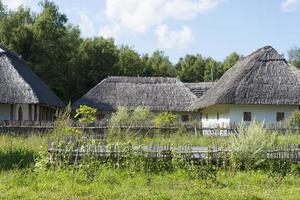 casas antigas com telhados de colmo. foto