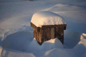 caixas de madeira para flores sob a neve no inverno foto