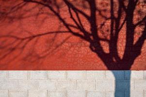 o sol projetava a sombra da árvore na parede vermelha, um templo com bom tempo. foto