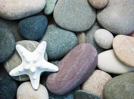 pedras de seixo do mar e estrelas do mar foto