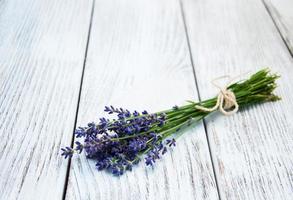 ramo de lavanda foto