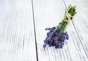 ramo de lavanda foto