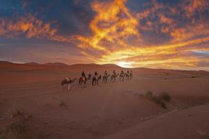 caravana de camelos com turistas atravessando a areia no deserto foto