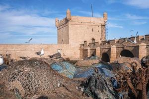 gaivotas empoleiradas na rede de pesca e voando ao redor da torre histórica