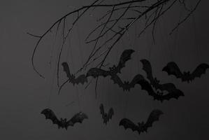 dia das bruxas com silhuetas de morcegos pretos em um galho de árvore em um fundo escuro foto