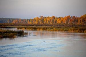 outono norte de saskatchewan foto