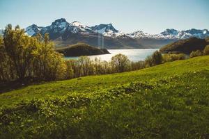 montanhas da noruega e paisagens nas ilhas lofoten. paisagem natural escandinava. lugar para texto ou publicidade foto