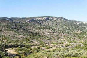 colinas com arbustos em um dia ensolarado. foto