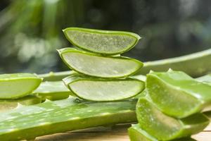 aloe vera fresco foto