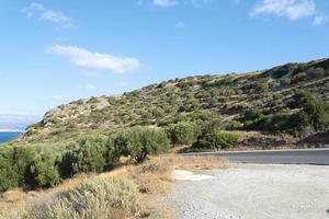 as árvores ao longo da estrada asfaltirani na ilha de creta. foto