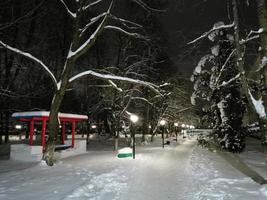 parque de inverno à noite árvores no beco de neve com lanternas foto