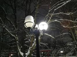 parque de inverno à noite árvores no beco de neve com lanternas foto