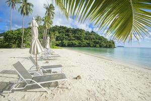 bela vista paisagem de espreguiçadeiras na praia tropical, o mar esmeralda e areia branca contra o céu azul, maya bay na ilha phi phi, tailândia