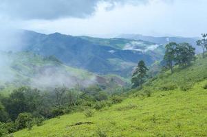 bela vista para a montanha verde na estação das chuvas, clima tropical. foto