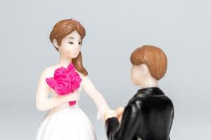 casamento dos noivos em fundo cinza